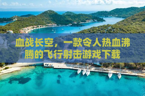 血战长空，一款令人热血沸腾的飞行射击游戏下载