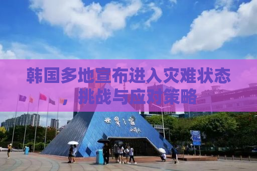韩国多地宣布进入灾难状态，挑战与应对策略