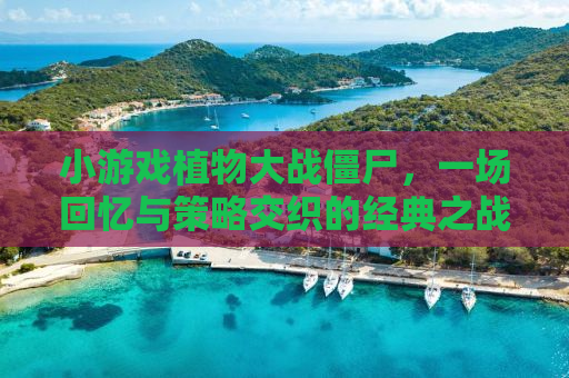 小游戏植物大战僵尸，一场回忆与策略交织的经典之战