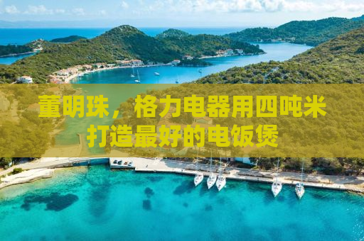 董明珠，格力电器用四吨米打造最好的电饭煲