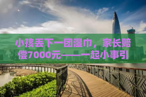 小孩丢下一团湿巾，家长赔偿7000元——一起小事引发的深思