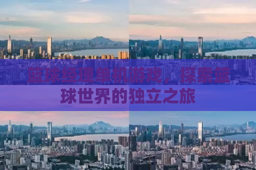 篮球经理单机游戏，探索篮球世界的独立之旅