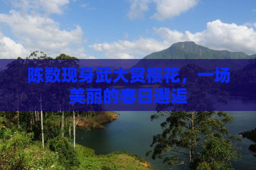 陈数现身武大赏樱花，一场美丽的春日邂逅