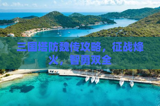 三国塔防魏传攻略，征战烽火，智勇双全