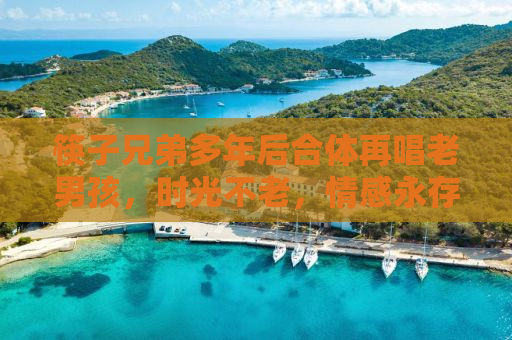 筷子兄弟多年后合体再唱老男孩，时光不老，情感永存