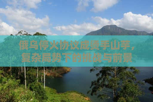 俄乌停火协议成烫手山芋，复杂局势下的挑战与前景