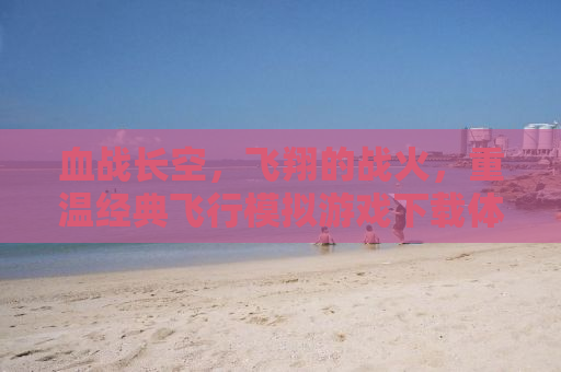 血战长空，飞翔的战火，重温经典飞行模拟游戏下载体验