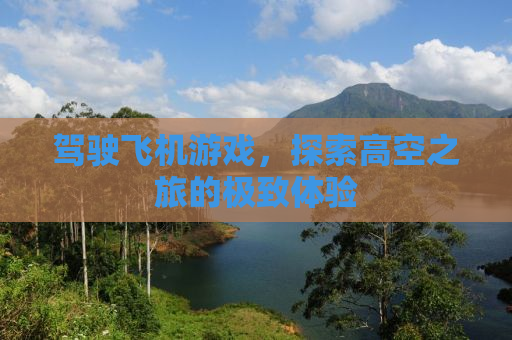 驾驶飞机游戏，探索高空之旅的极致体验