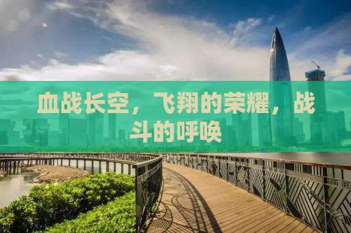 血战长空，飞翔的荣耀，战斗的呼唤