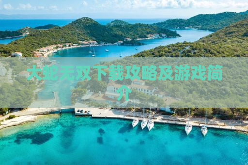 大蛇无双下载攻略及游戏简介