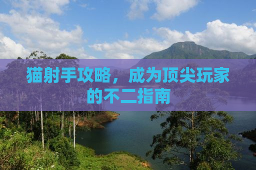 猫射手攻略，成为顶尖玩家的不二指南