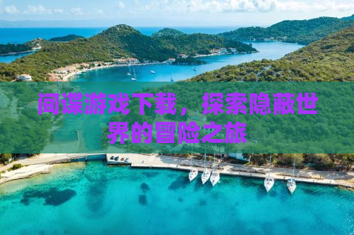 间谍游戏下载，探索隐蔽世界的冒险之旅