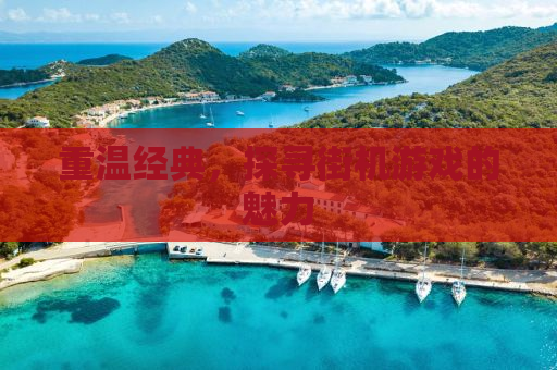 重温经典，探寻街机游戏的魅力
