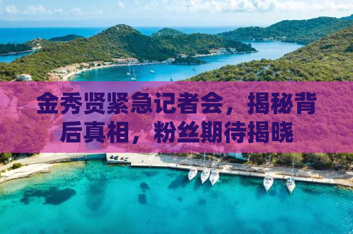 金秀贤紧急记者会，揭秘背后真相，粉丝期待揭晓