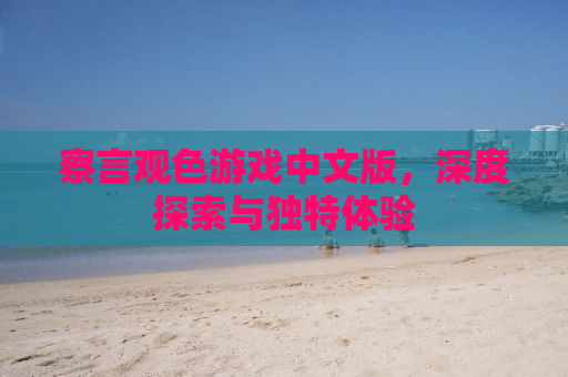 察言观色游戏中文版，深度探索与独特体验