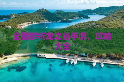 全面解析龙之谷手游，攻略大全