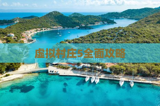 虚拟村庄5全面攻略