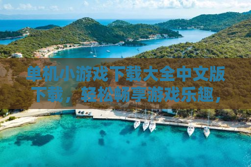 单机小游戏下载大全中文版下载，轻松畅享游戏乐趣，无需联网也能玩嗨！