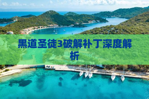 黑道圣徒3破解补丁深度解析