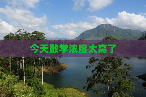 今天数学浓度太高了
