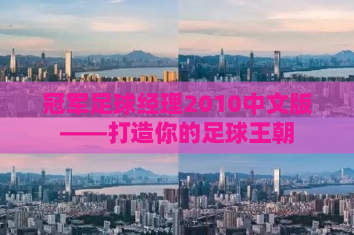 冠军足球经理2010中文版——打造你的足球王朝