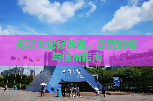 无双大蛇修改器，深度解析与使用指南