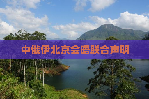 中俄伊北京会晤联合声明