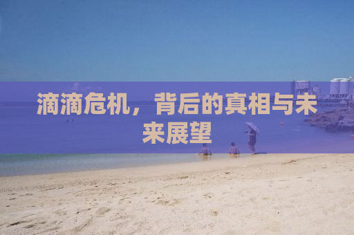 滴滴危机，背后的真相与未来展望
