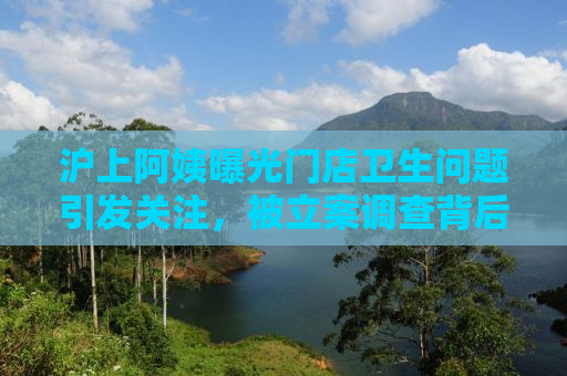 沪上阿姨曝光门店卫生问题引发关注，被立案调查背后揭示的反思与启示