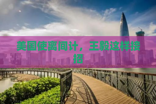 美国使离间计，王毅这样接招