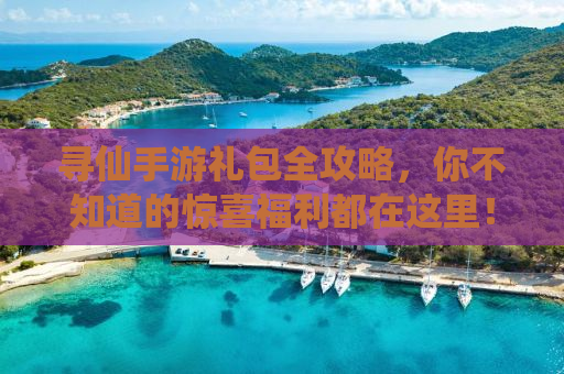 寻仙手游礼包全攻略，你不知道的惊喜福利都在这里！