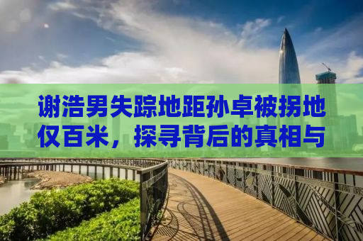 谢浩男失踪地距孙卓被拐地仅百米，探寻背后的真相与社会的反思