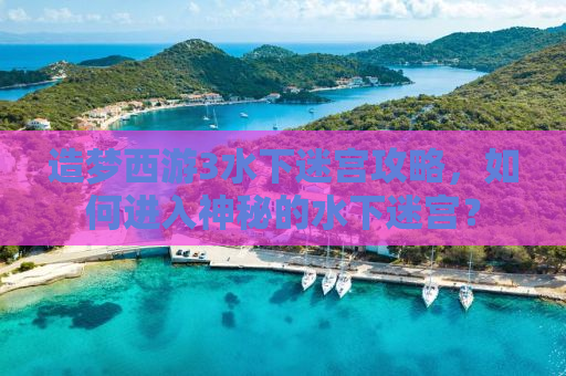 造梦西游3水下迷宫攻略，如何进入神秘的水下迷宫？