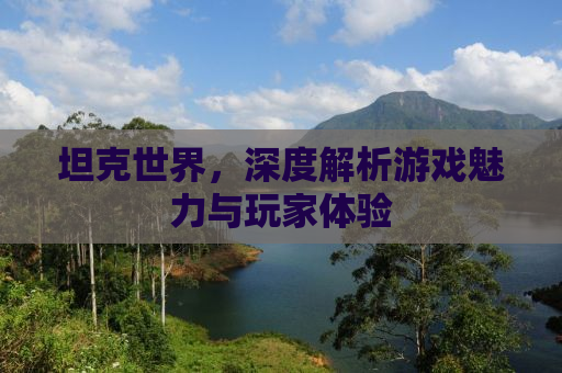 坦克世界，深度解析游戏魅力与玩家体验