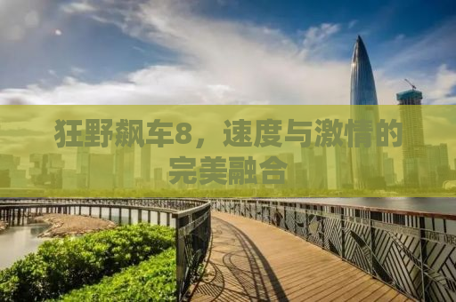 狂野飙车8，速度与激情的完美融合