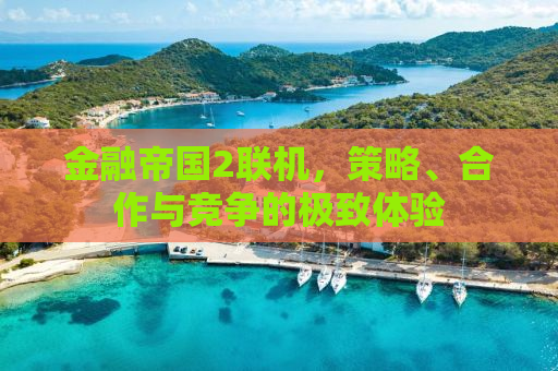 金融帝国2联机，策略、合作与竞争的极致体验