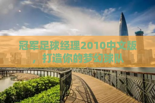 冠军足球经理2010中文版，打造你的梦幻球队