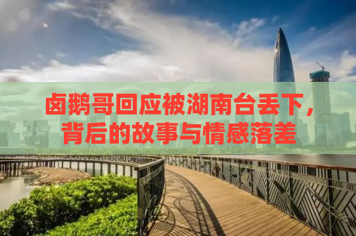 卤鹅哥回应被湖南台丢下，背后的故事与情感落差