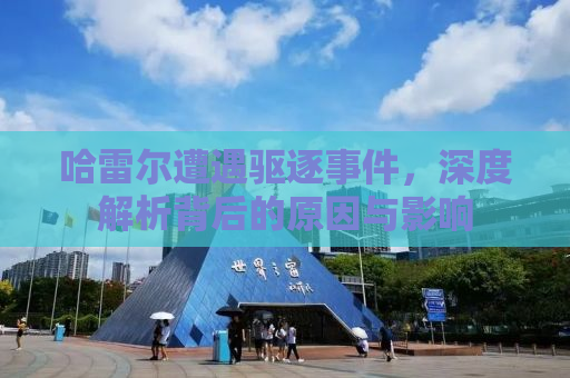 哈雷尔遭遇驱逐事件，深度解析背后的原因与影响
