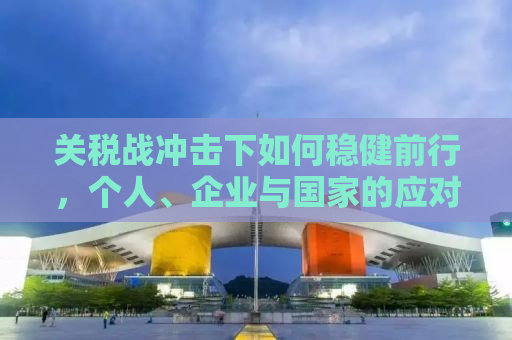 关税战冲击下如何稳健前行，个人、企业与国家的应对策略