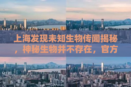上海发现未知生物传闻揭秘，神秘生物并不存在，官方回应来了！