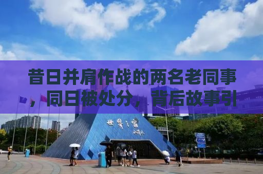 昔日并肩作战的两名老同事，同日被处分，背后故事引人深思
