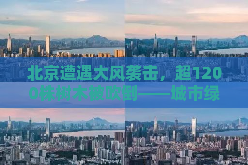 北京遭遇大风袭击，超1200株树木被吹倒——城市绿化面临挑战