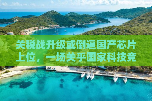 关税战升级或倒逼国产芯片上位，一场关乎国家科技竞争力的较量