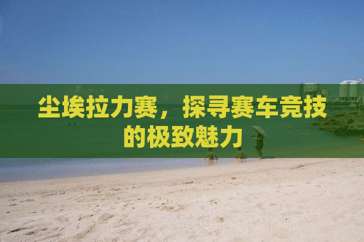 尘埃拉力赛，探寻赛车竞技的极致魅力