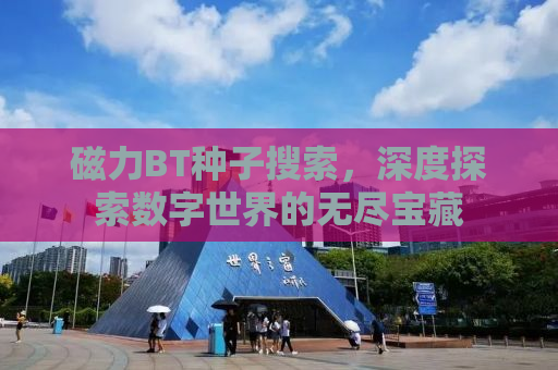 磁力BT种子搜索，深度探索数字世界的无尽宝藏