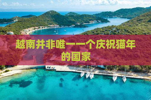越南并非唯一一个庆祝猫年的国家