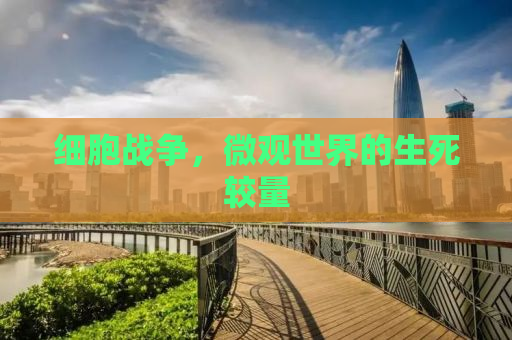 细胞战争，微观世界的生死较量
