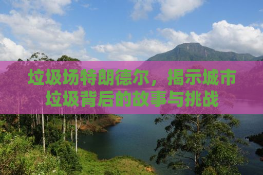 垃圾场特朗德尔，揭示城市垃圾背后的故事与挑战