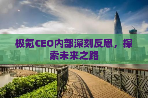 极氪CEO内部深刻反思，探索未来之路